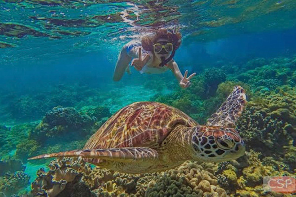 モアルボアルツアー